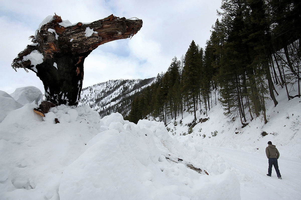 Avalanche